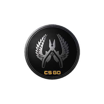 Guardian Elite Pin
