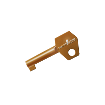 CS:GO Capsule Key