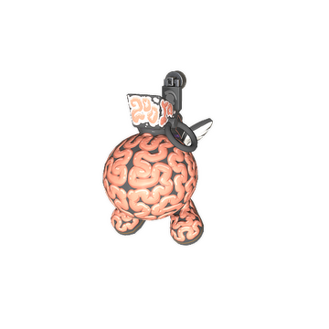 Charm | Big Brain